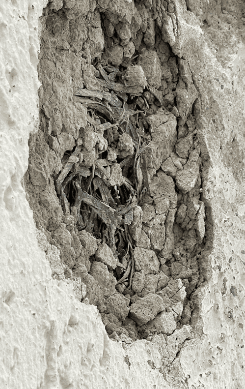 Sanierungsarbeiten_4